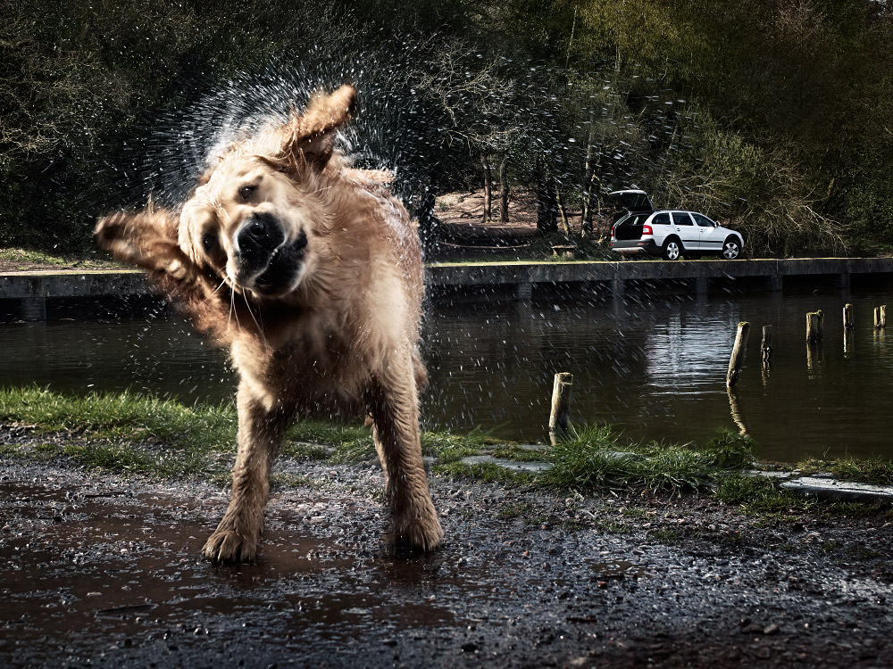 commissioned automotive photography