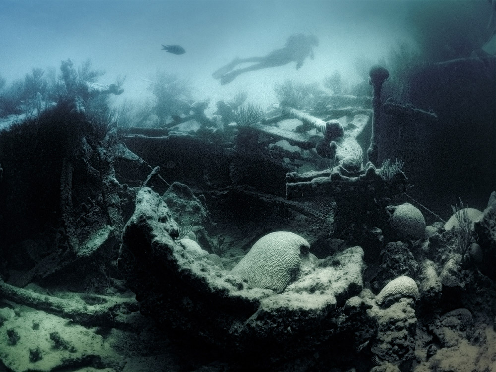personal bermuda, underwater photography