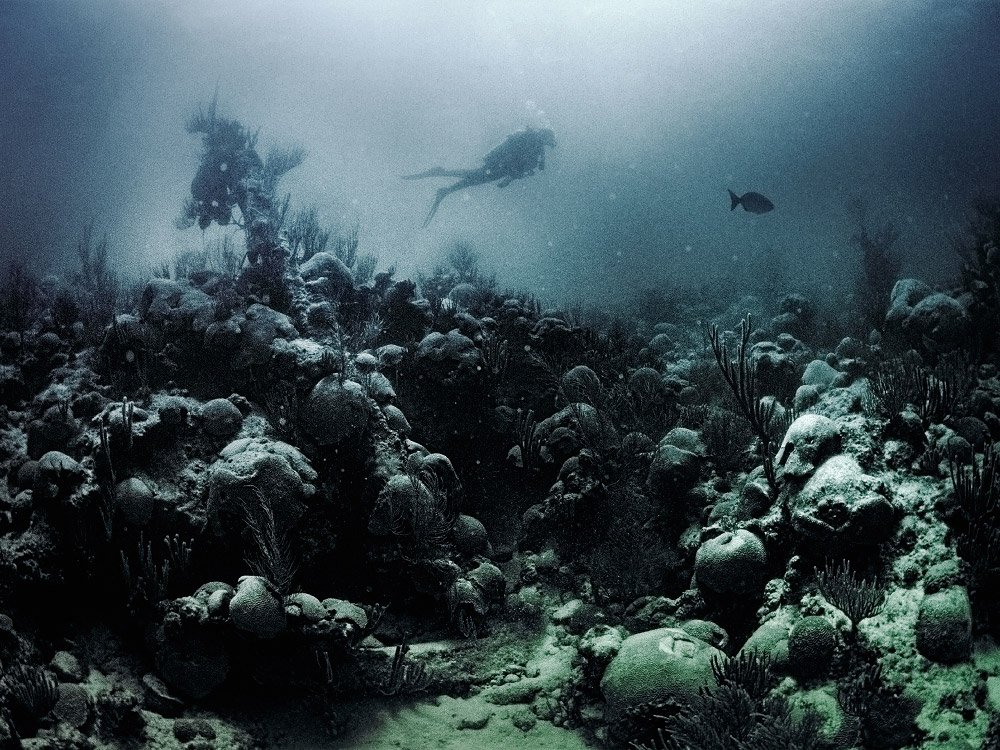 personal bermuda, underwater photography