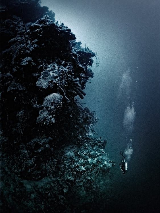 personal cayman islands, underwater photography