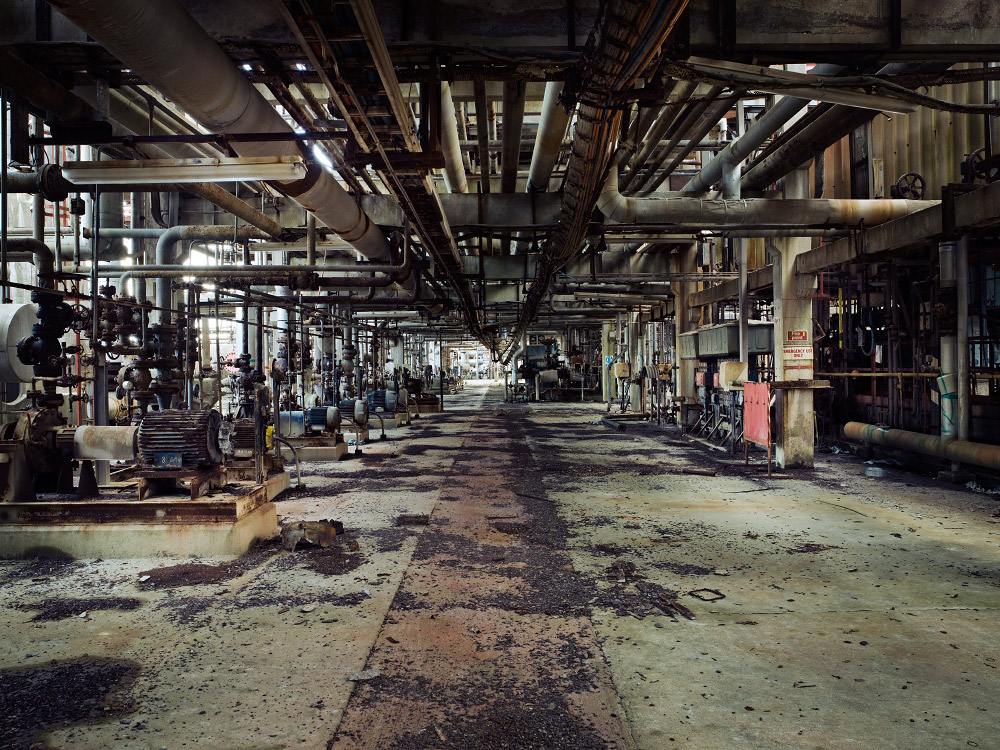 personal milford haven photography