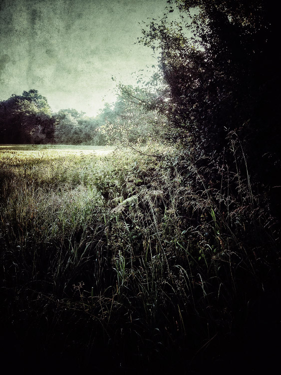 personal iphoneonly photography