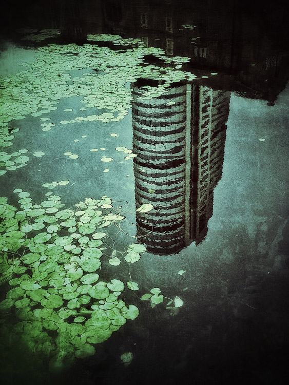 personal iphoneonly photography