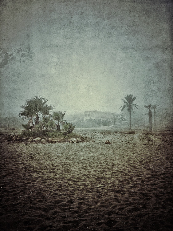 personal iphoneonly photography