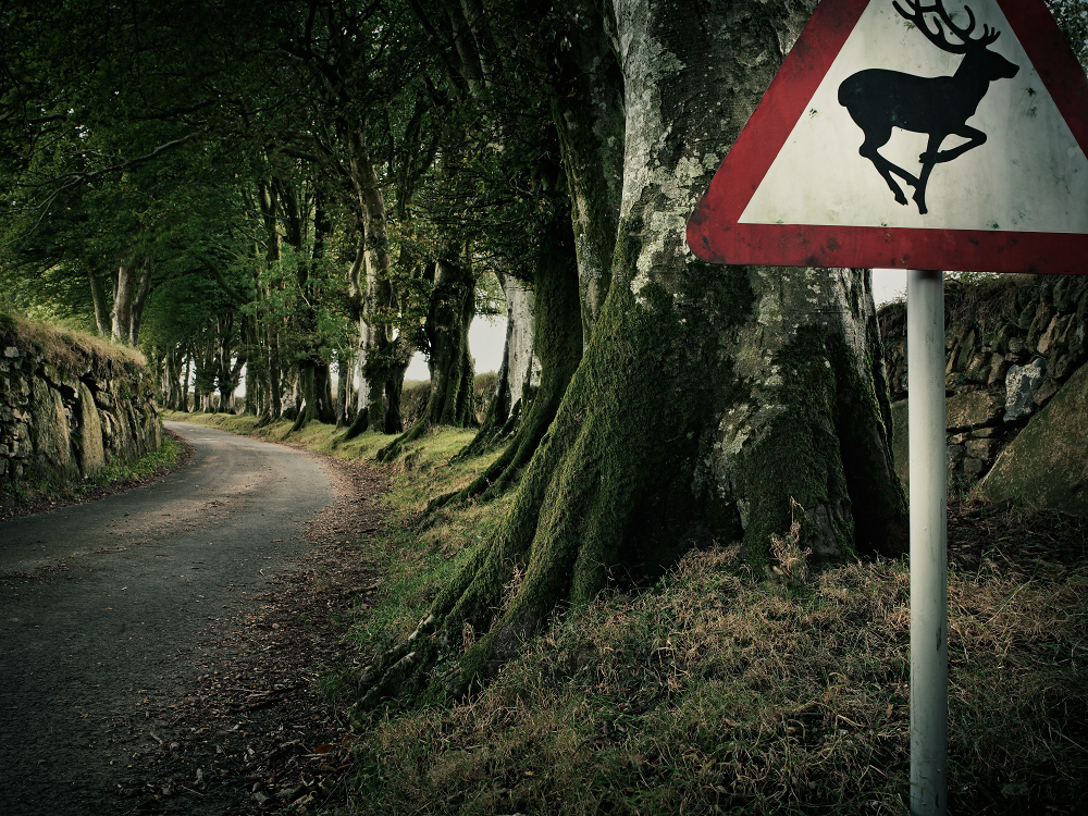 commissioned landscapes photography