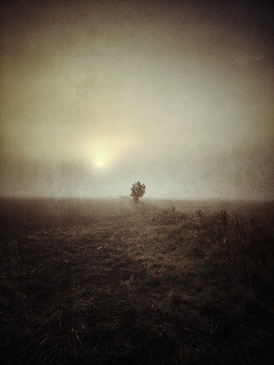 personal iphoneonly photography