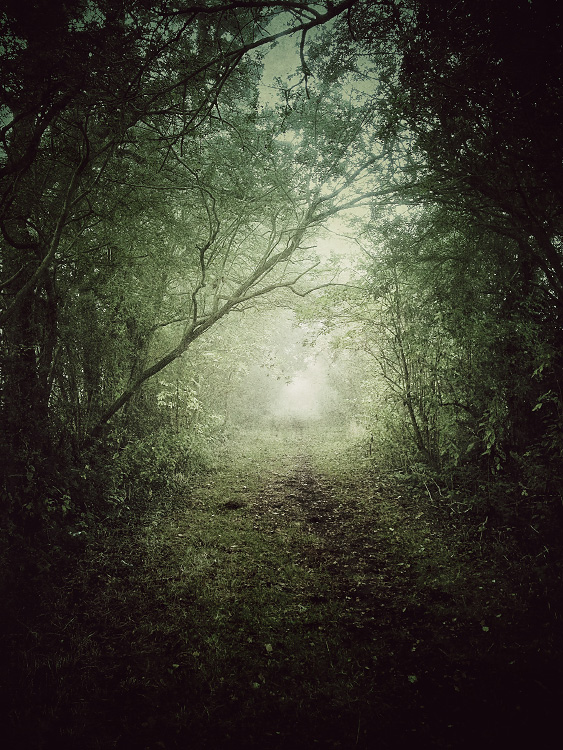 personal iphoneonly photography