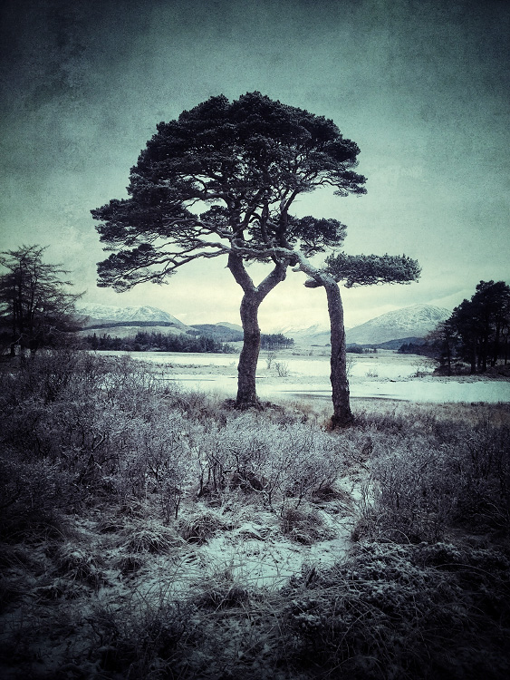 personal iphoneonly photography