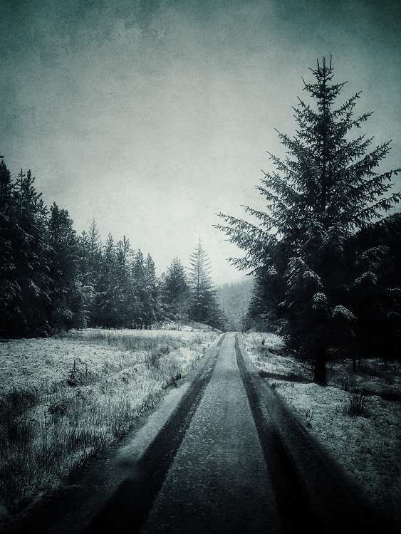 personal iphoneonly photography