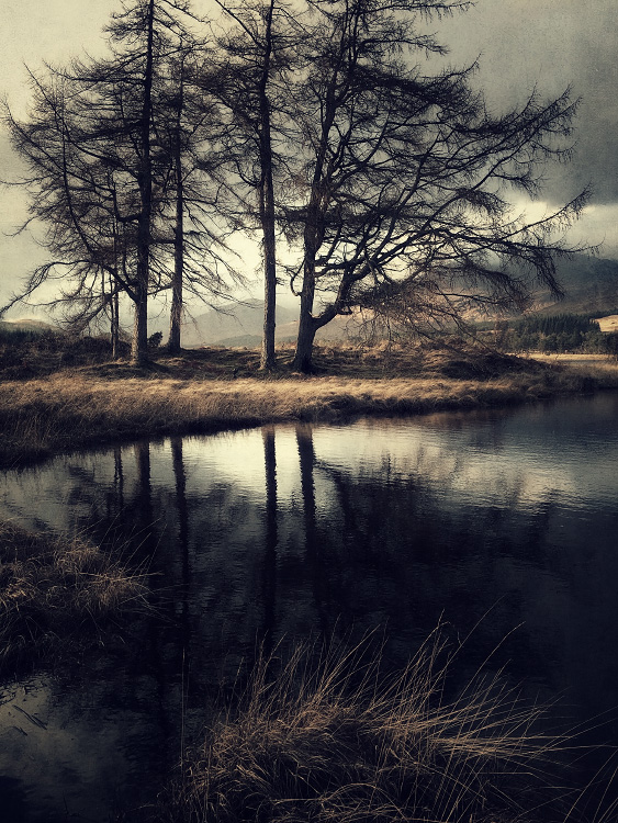 personal iphoneonly photography