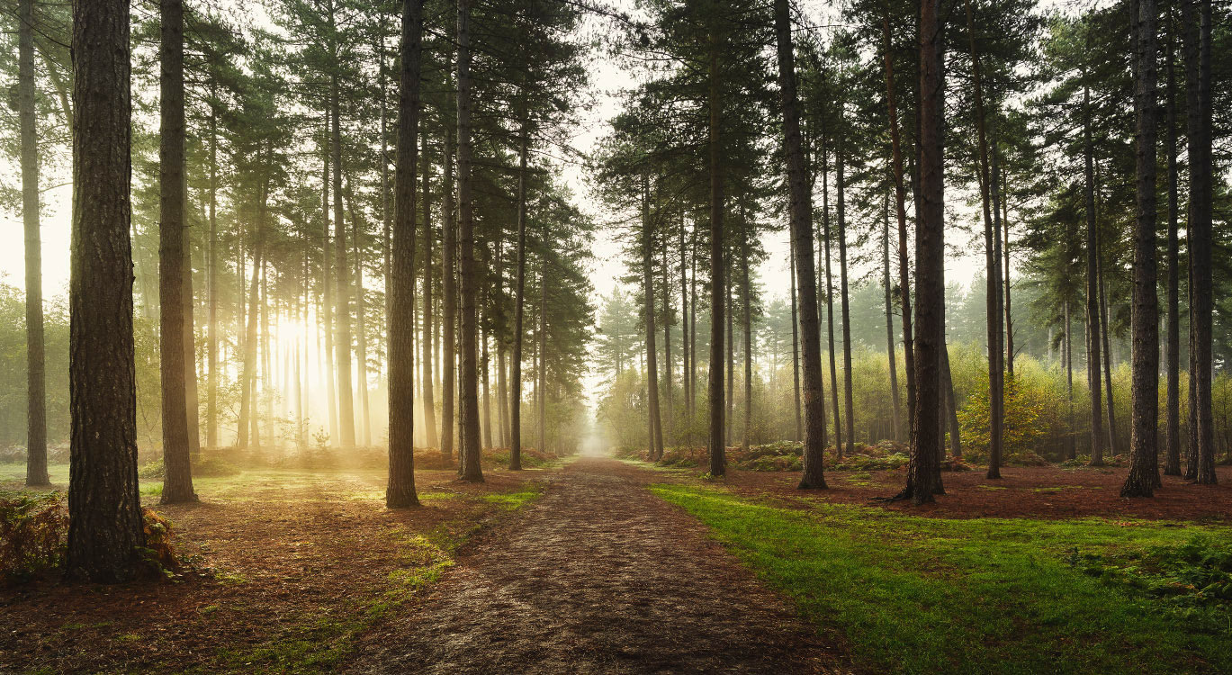 commissioned landscapes photography