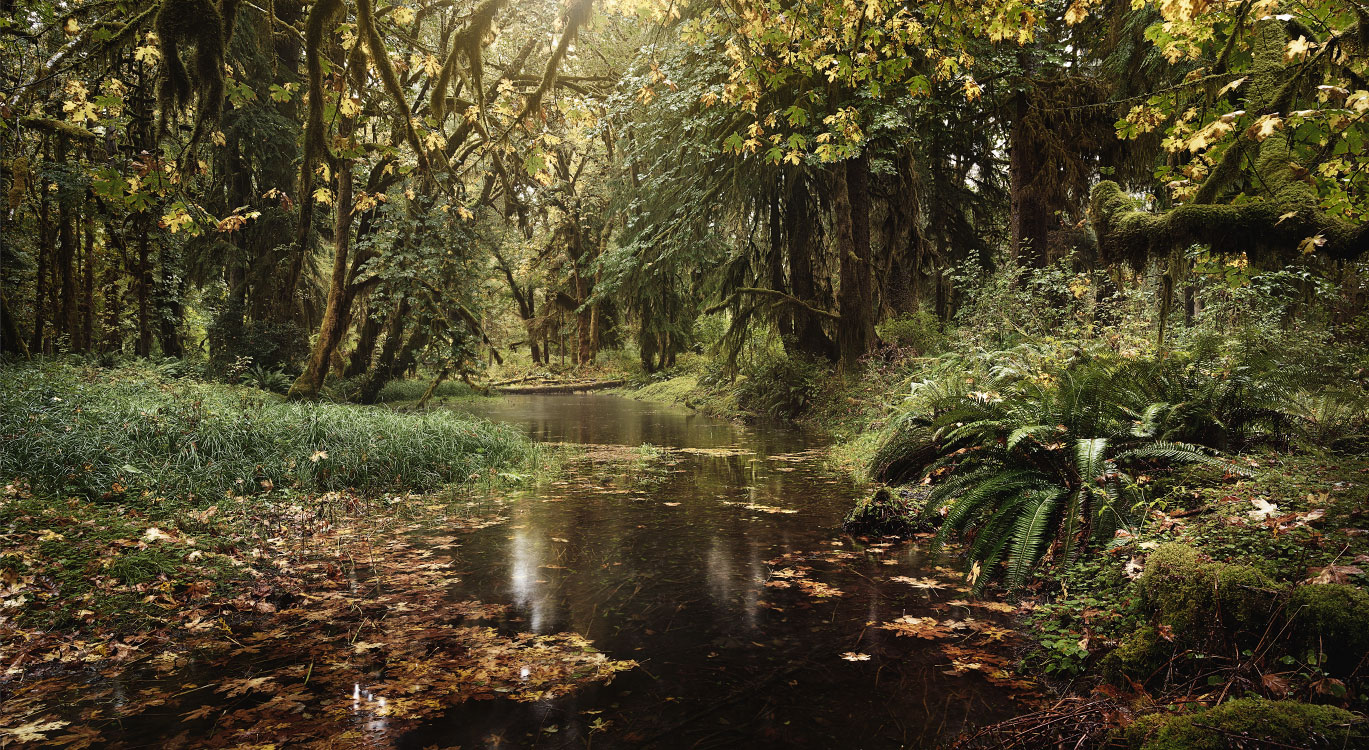 personal The Pacific Northwest photography