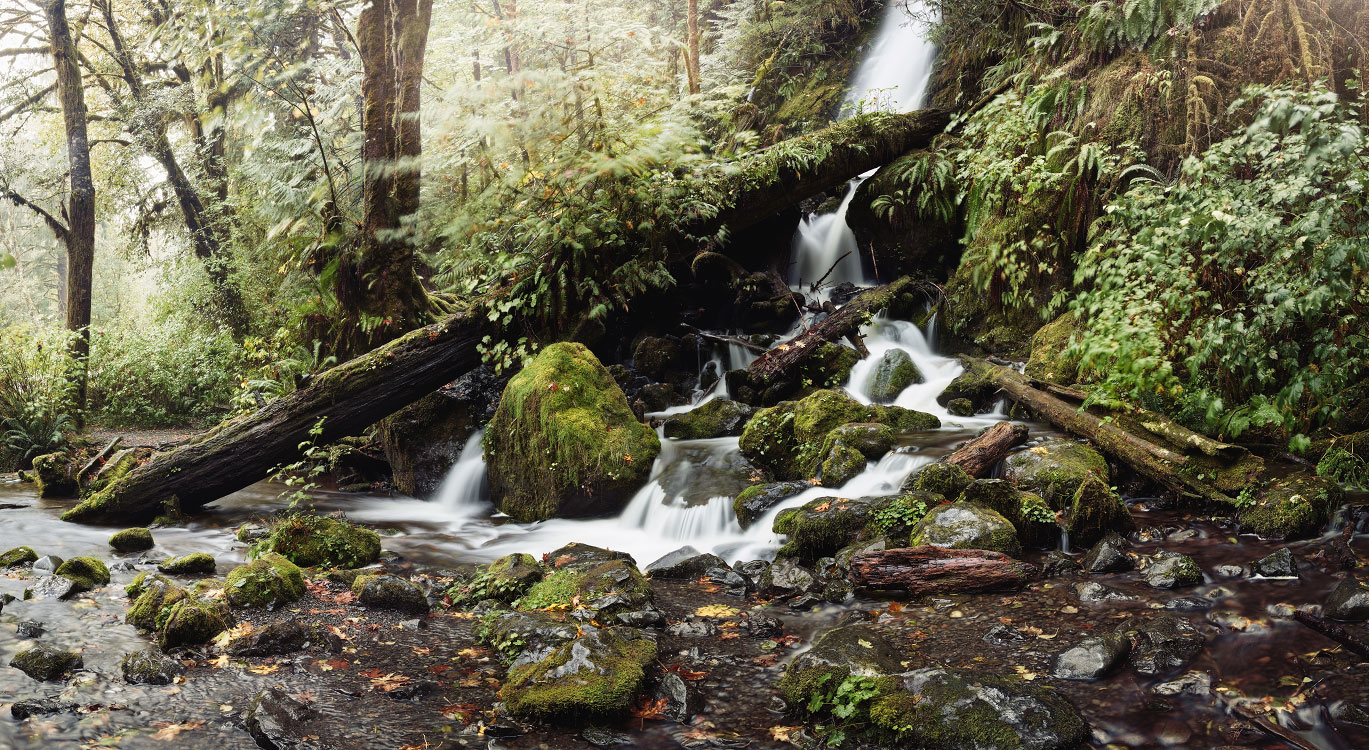 personal The Pacific Northwest photography