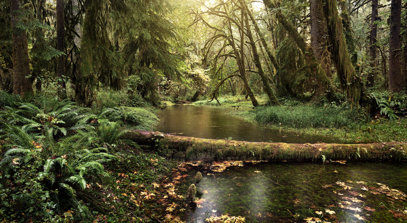 personal The Pacific Northwest photography