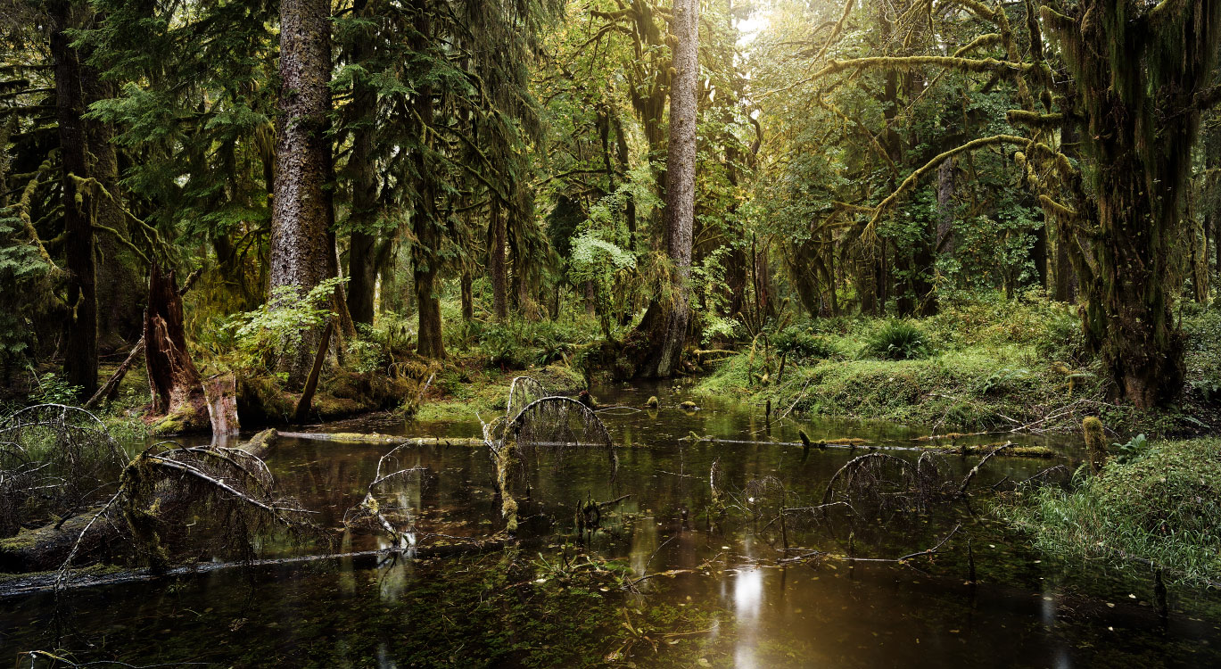 personal The Pacific Northwest photography