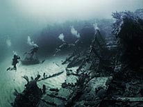 personal bermuda, underwater photography