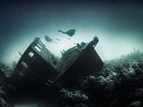 personal bermuda, underwater photography