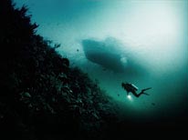 personal cayman islands, underwater photography