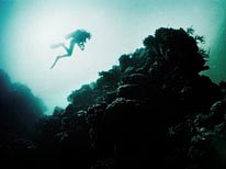 personal cayman islands, underwater photography