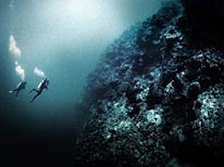 personal cayman islands, underwater photography