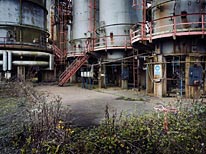 personal milford haven photography