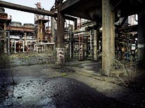 personal milford haven photography