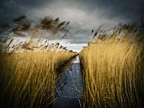 personal norfolk photography