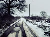 personal close to home photography