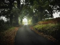 personal close to home photography