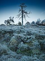 personal north northwest photography