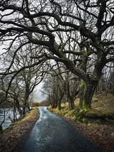 personal north northwest photography