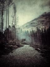 personal iphoneonly photography