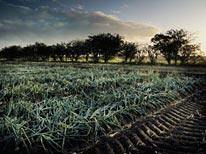 commissioned landscapes photography