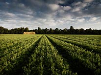 commissioned landscapes photography