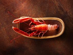 stories Land Rover, Faroe Islands photography