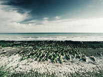 commissioned landscapes photography