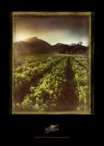 stories Nederburg Wine photography