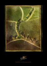 stories Nederburg Wine photography