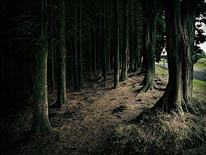 commissioned landscapes photography