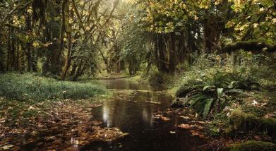 personal The Pacific Northwest photography