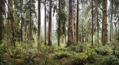 personal The Pacific Northwest photography