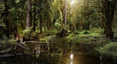 personal The Pacific Northwest photography